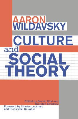 Book cover for Culture and Social Theory