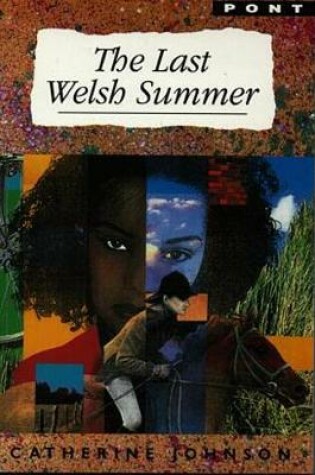 Cover of Last Welsh Summer, The