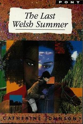 Book cover for Last Welsh Summer, The