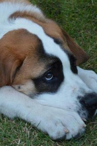 Cover of St. Bernard Dog Portrait Pet Journal