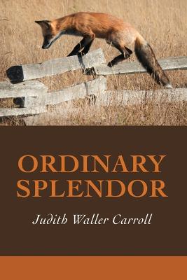 Book cover for Ordinary Splendor