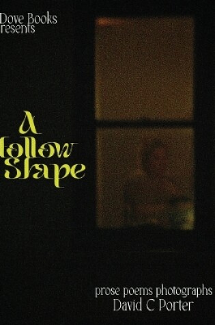 Cover of A Hollow Shape