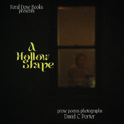 Book cover for A Hollow Shape