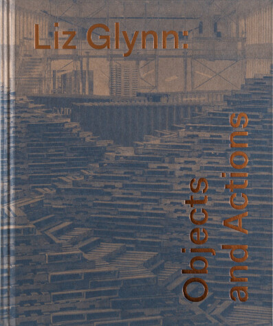 Book cover for Liz Glynn