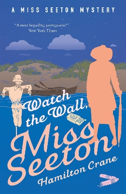 Book cover for Watch the Wall, Miss Seeton