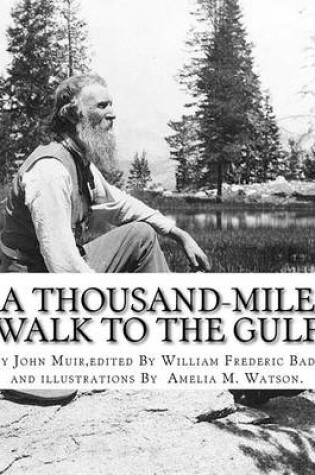 Cover of A thousand-mile walk to the Gulf, By John Muir, edited By William Frederic Bade
