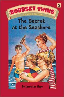 Book cover for The Secret at the Seashore