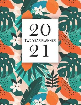 Book cover for 2020-2021 Two Year Planner