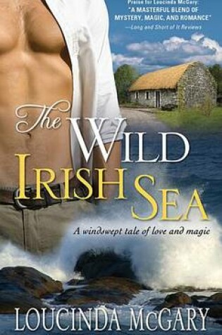 Cover of The Wild Irish Sea