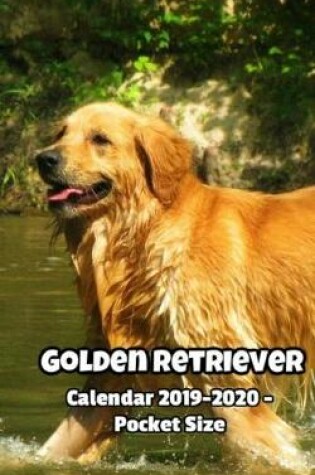 Cover of Golden Retriever Calendar & Day Planner 2019-2020