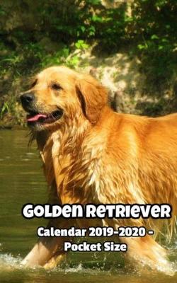 Book cover for Golden Retriever Calendar & Day Planner 2019-2020