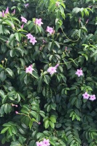 Cover of Purple Flowers on Morning Glory Vines