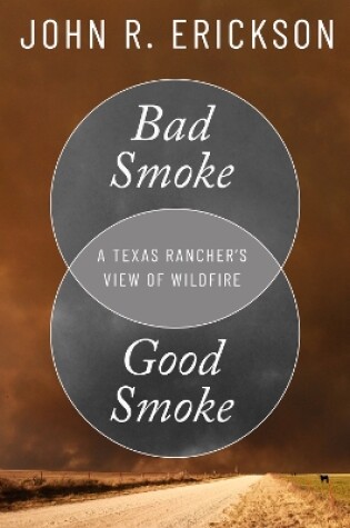 Cover of Bad Smoke, Good Smoke
