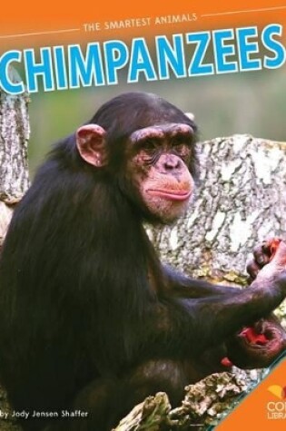 Cover of Chimpanzees