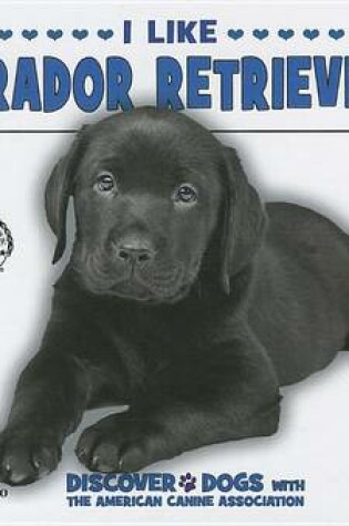 Cover of I Like Labrador Retrievers!