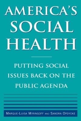 Book cover for America's Social Health