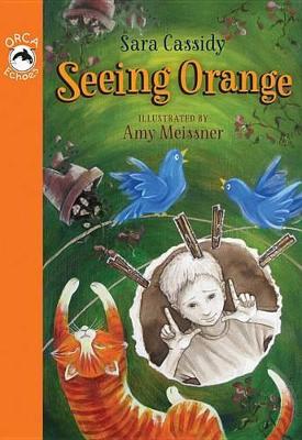 Book cover for Seeing Orange