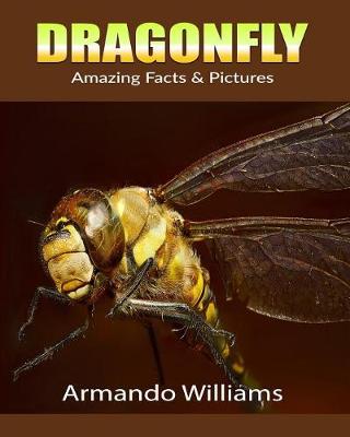 Book cover for Dragonfly