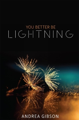 Book cover for You Better Be Lightning