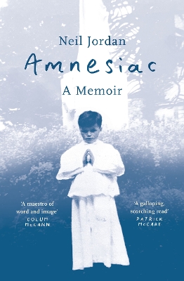 Book cover for Amnesiac