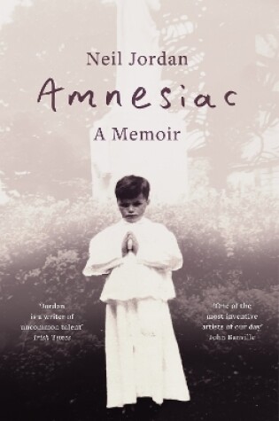 Cover of Amnesiac