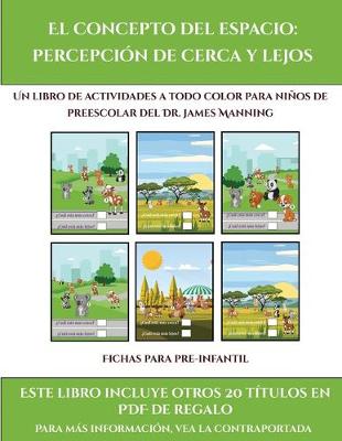 Cover of Fichas para pre-infantil (El concepto del espacio