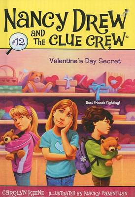 Book cover for Valentine's Day Secret