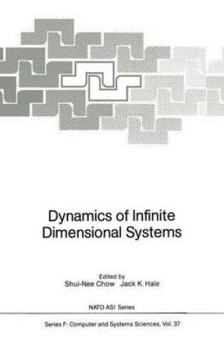 Cover of Dynamics of Infinite Dimensional Systems