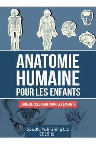 Cover of Anatomie humaine pour les enfants