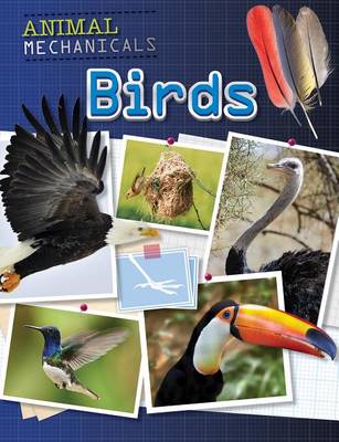 Book cover for Birds