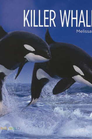 Cover of Killer Whales