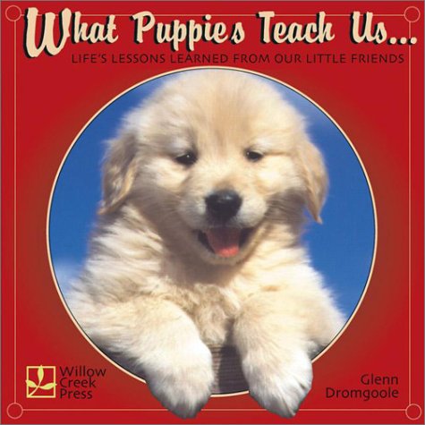 Book cover for What Puppies Teach Us