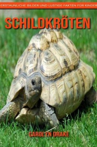 Cover of Schildkröten