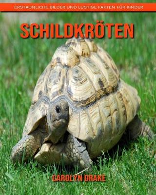 Book cover for Schildkröten