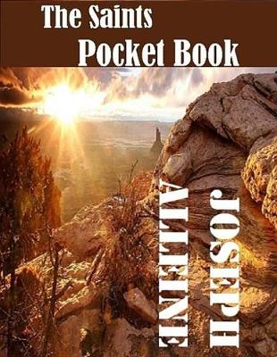 Book cover for The Saint's Pocket Book