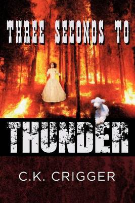 Book cover for Three Seconds to Thunder