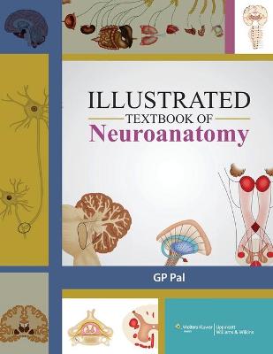 Book cover for Illustrated Text Book of Neuroanatomy