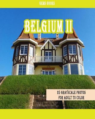 Book cover for Belgium II