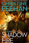 Book cover for Shadow Fire