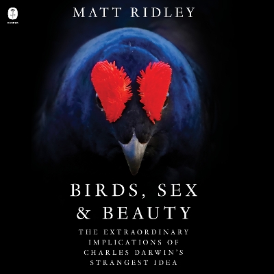 Book cover for Birds, Sex and Beauty