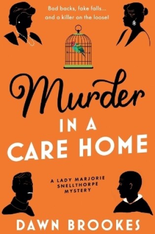 Cover of Murder in a Care Home