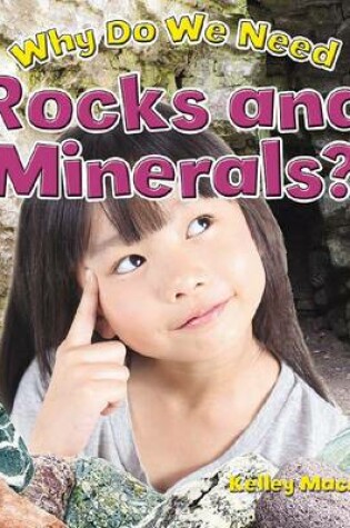 Cover of Why Do We Need Rocks and Minerals?