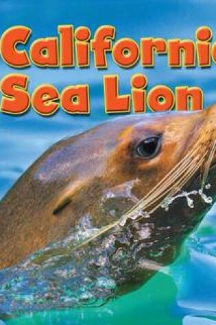 Cover of California Sea Lion