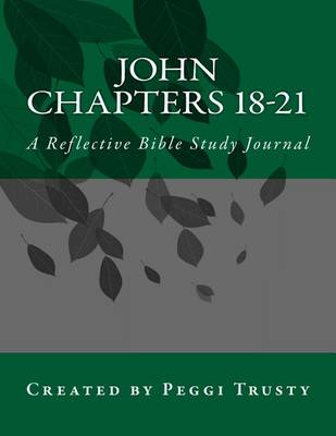 Book cover for John, Chapters 18-21