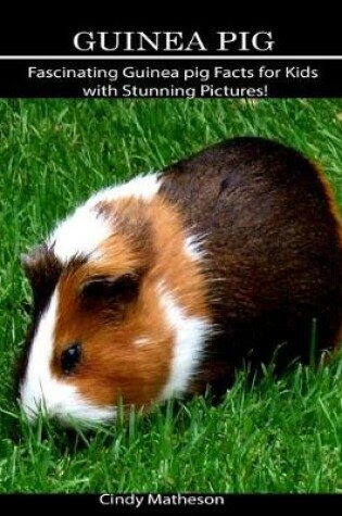 Cover of Guinea pig