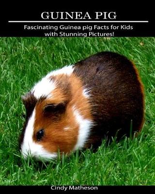 Book cover for Guinea pig