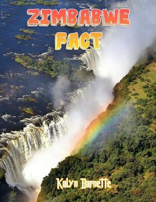 Book cover for Zimbabwe Fact