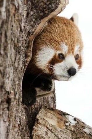 Cover of Winter Red Panda Journal