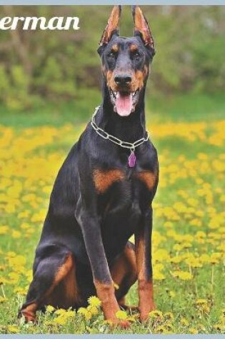 Cover of Doberman 2021 Wall Calendar