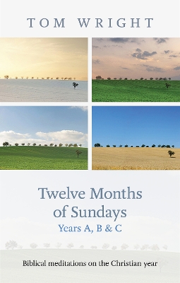 Book cover for Twelve Months of Sundays Year B